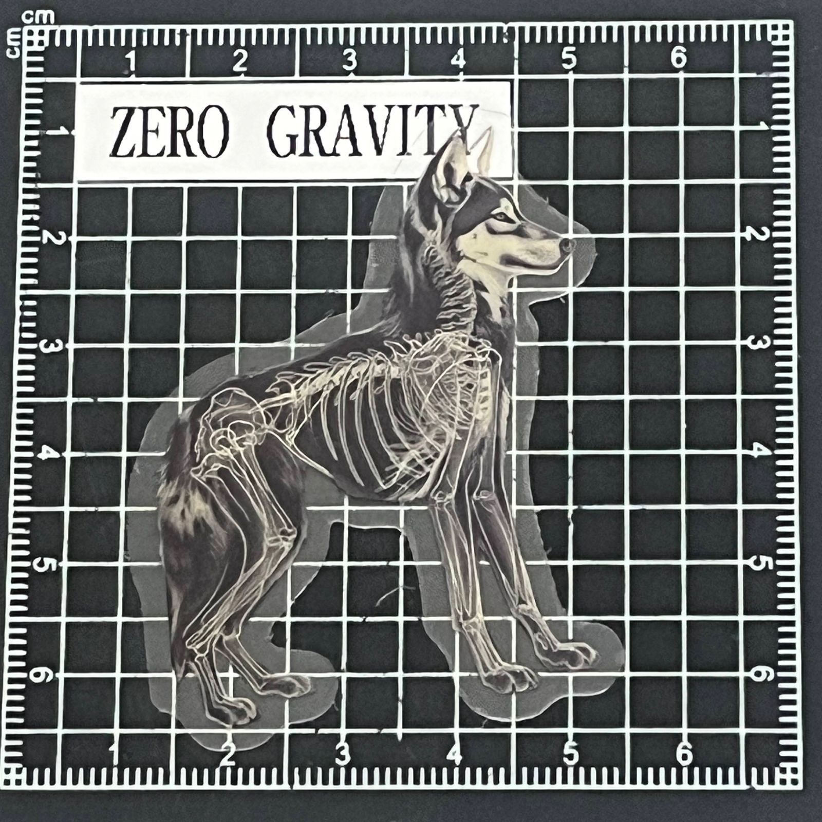 L421 スケルトン・骨格アニマル防水ステッカー ZEROGRAVITY - メルカリ