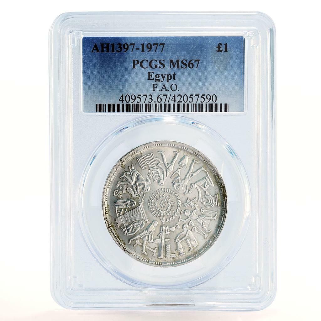 エジプト 1ポンド FAO Different Laborers MS67 PCGS 銀貨 1977年