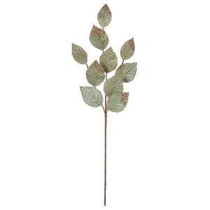 ASCA アスカ ベルベットリーフスプレー AX 60745-000 入数 24