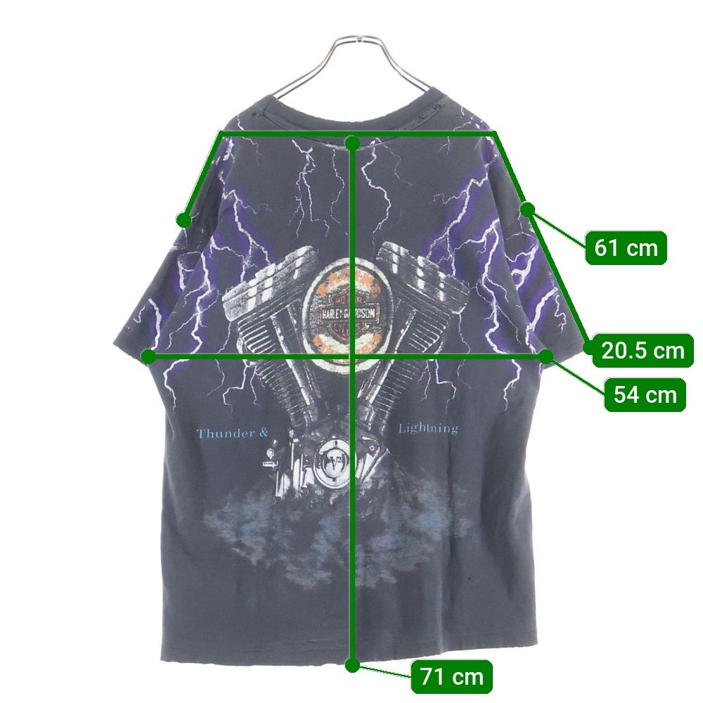 HARLEY DAVIDSON (ハーレーダビッドソン) 90S THUNDER &LIGHTNING