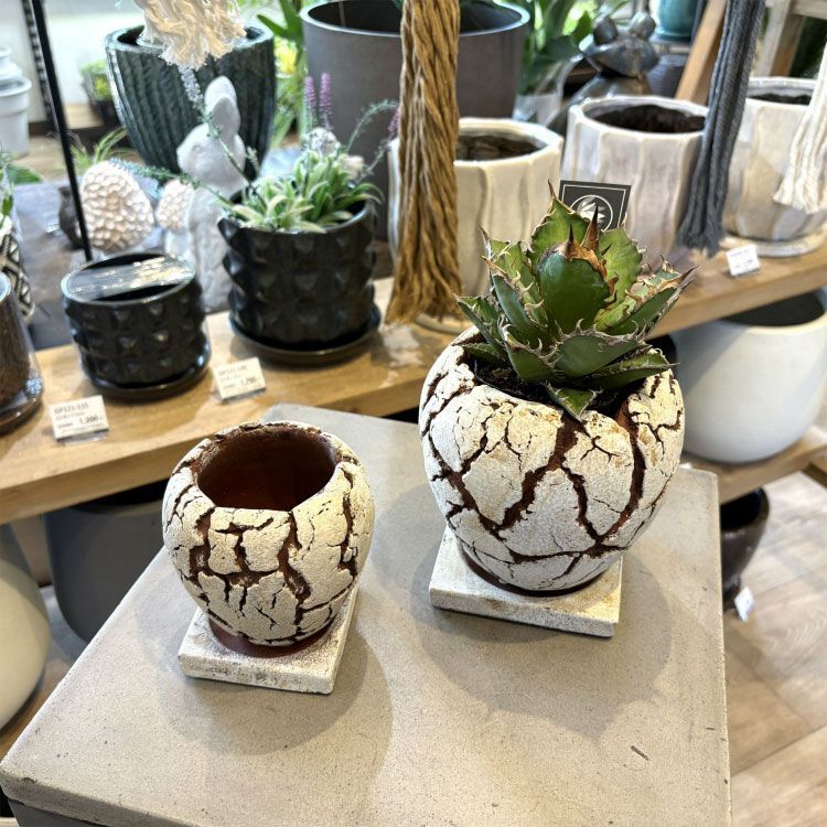 新品 植木鉢 おしゃれ セメント クラックポット RR512-090 3号(9cm) 鉢