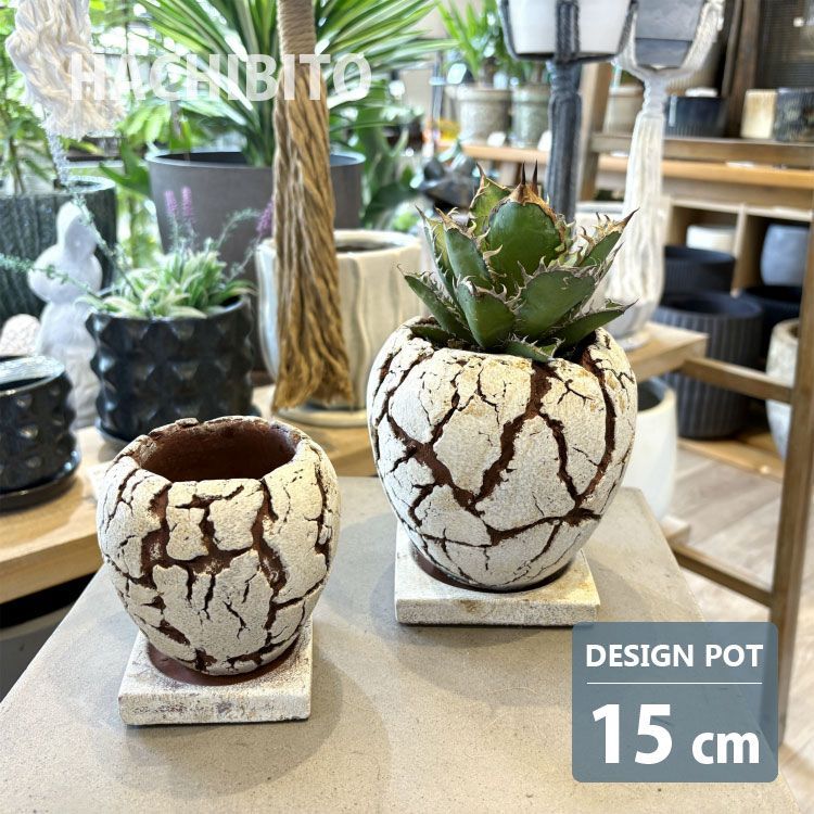 新品 植木鉢 おしゃれ セメント クラックポット RR512-150 5号(15cm