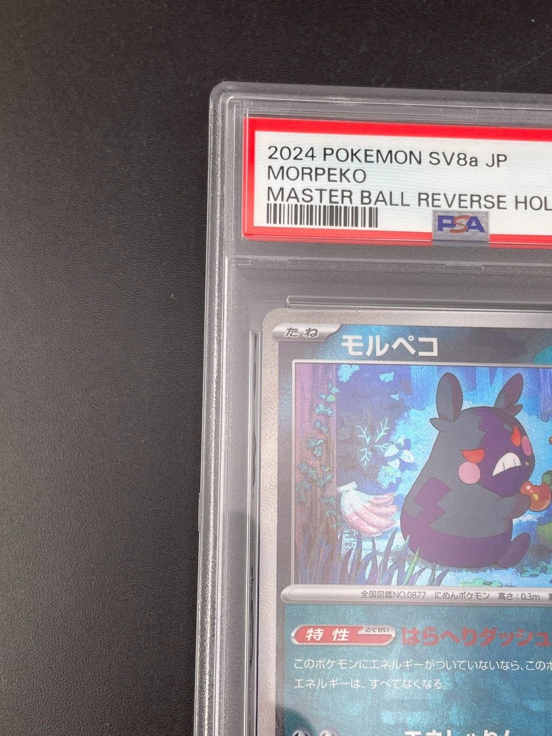 鑑定品】PSA10 モルペコ マスターボールミラー H sv8a 098/187