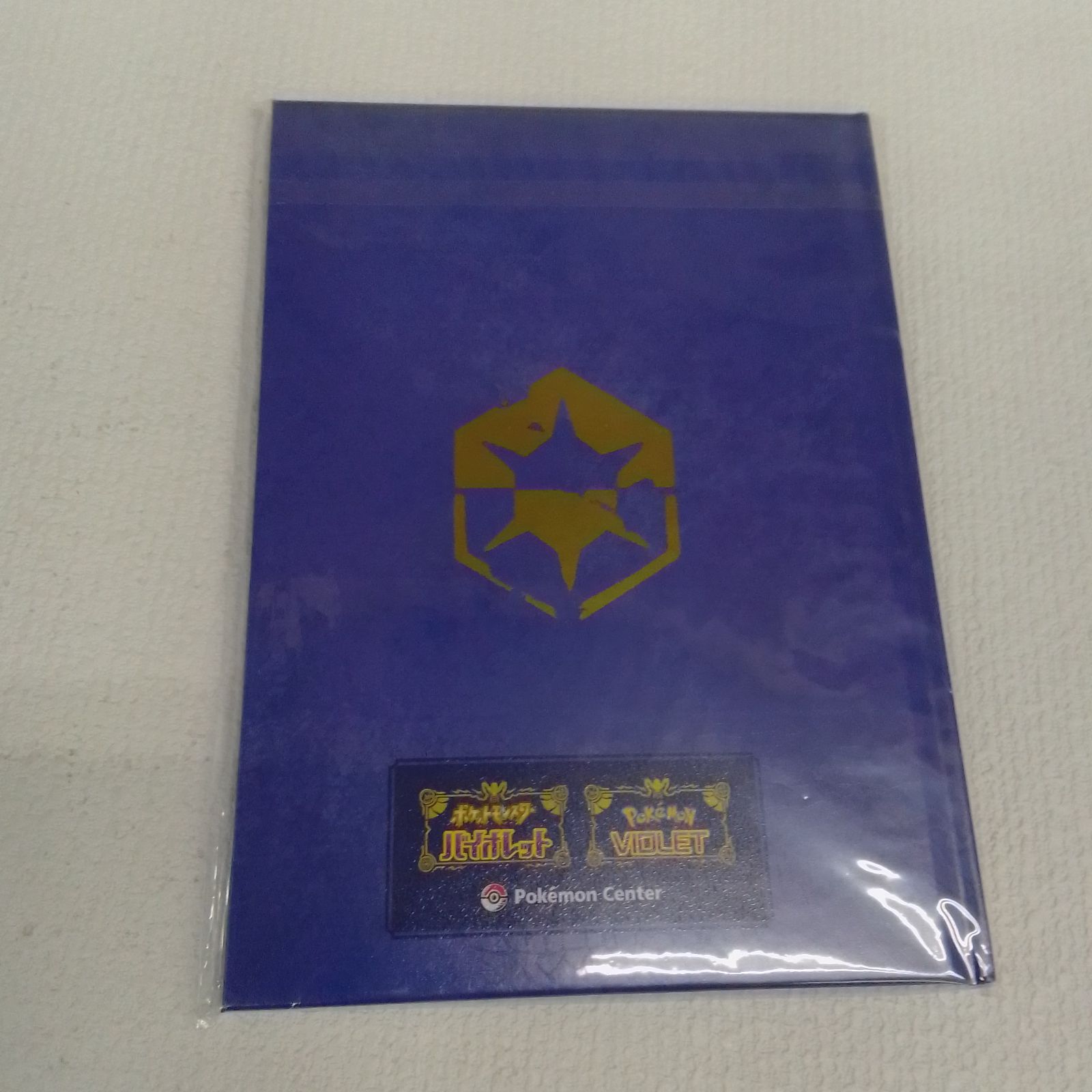 ☆ New Hoenn ART Book オメガルビー アルファサファイア ポケモン