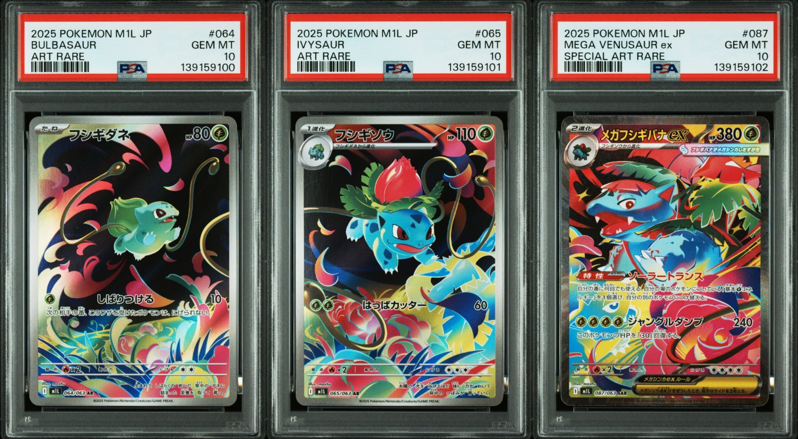 PSA 10 連番 フシギダネ AR 064 フシギソウ AR 065 メガフシギバナ SAR