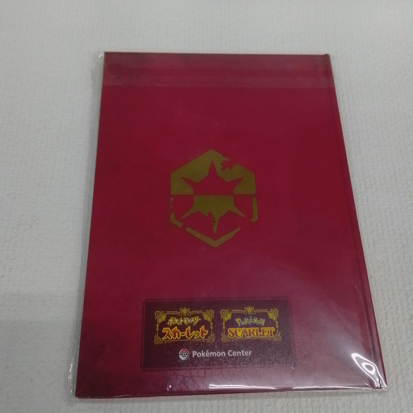 ☆ New Hoenn ART Book オメガルビー アルファサファイア ポケモン