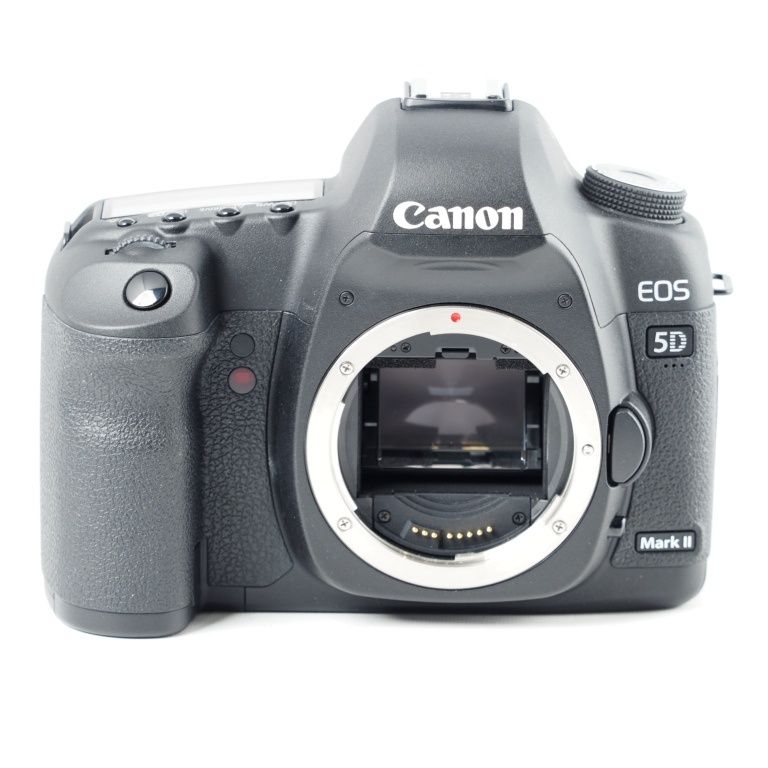 Canon キヤノン デジタル一眼レフカメラ EOS 5D MarkII ボディ #14455
