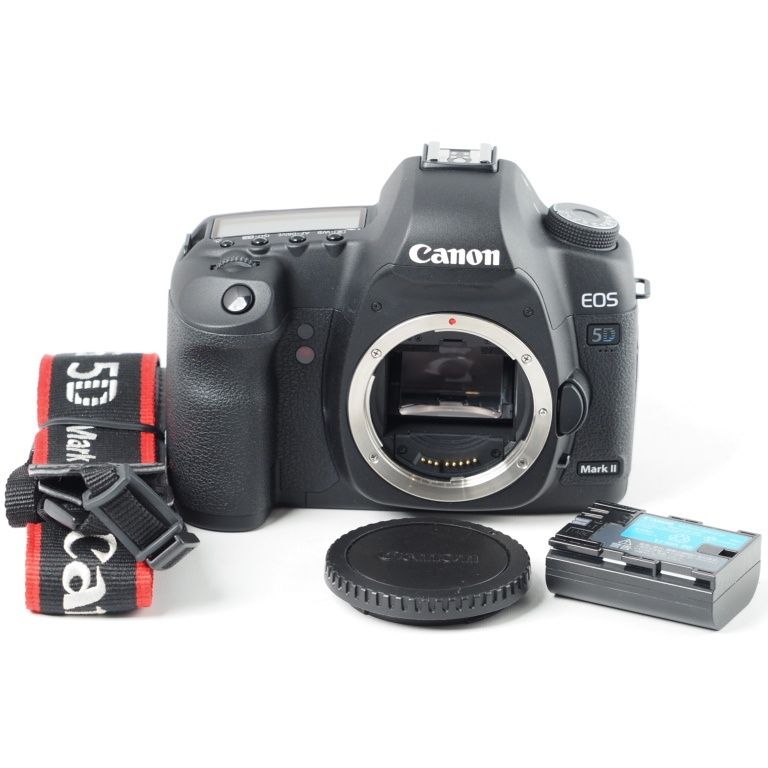Canon キヤノン デジタル一眼レフカメラ EOS 5D MarkII ボディ #14455