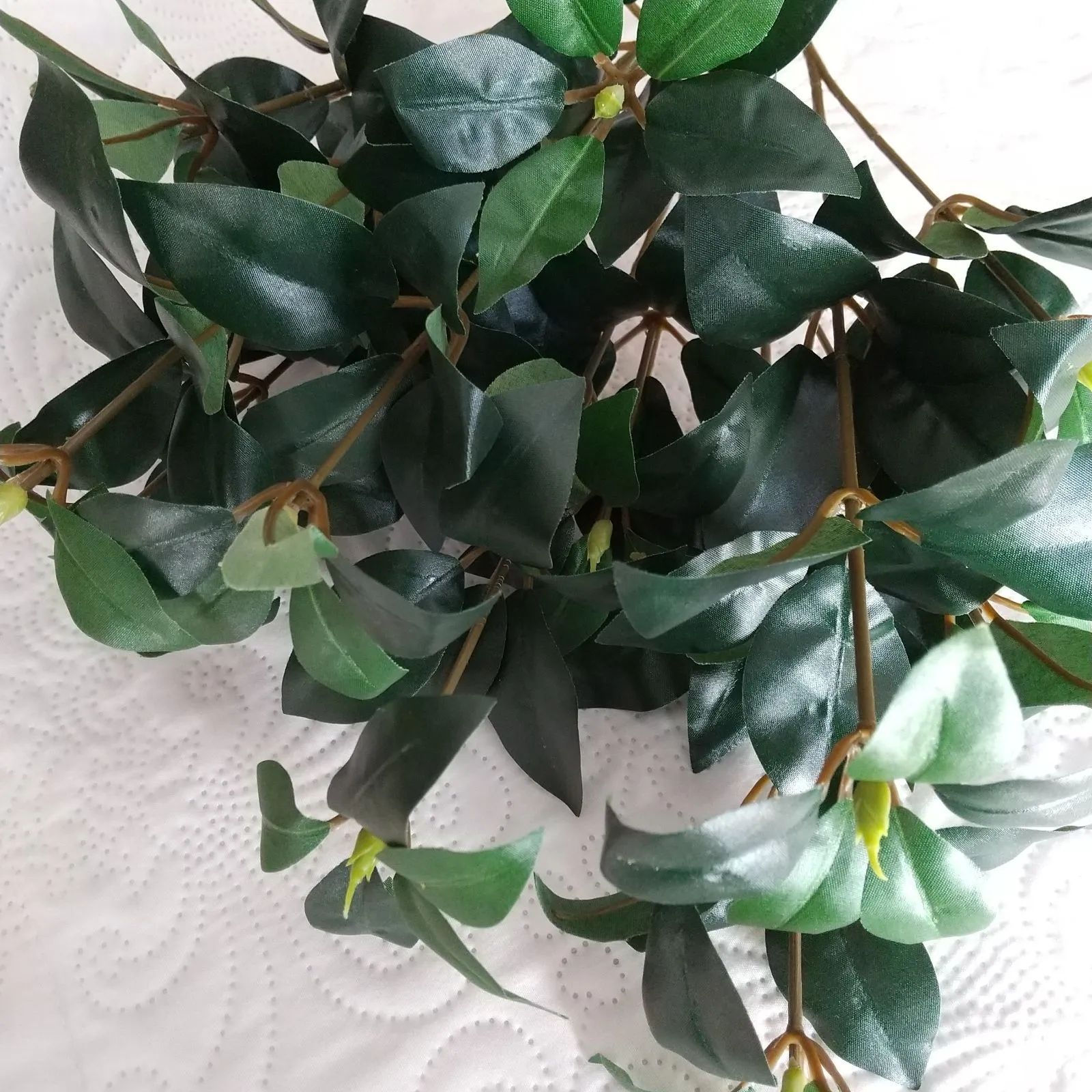 ALEX様 確認用 しきみ6本 - メルカリ