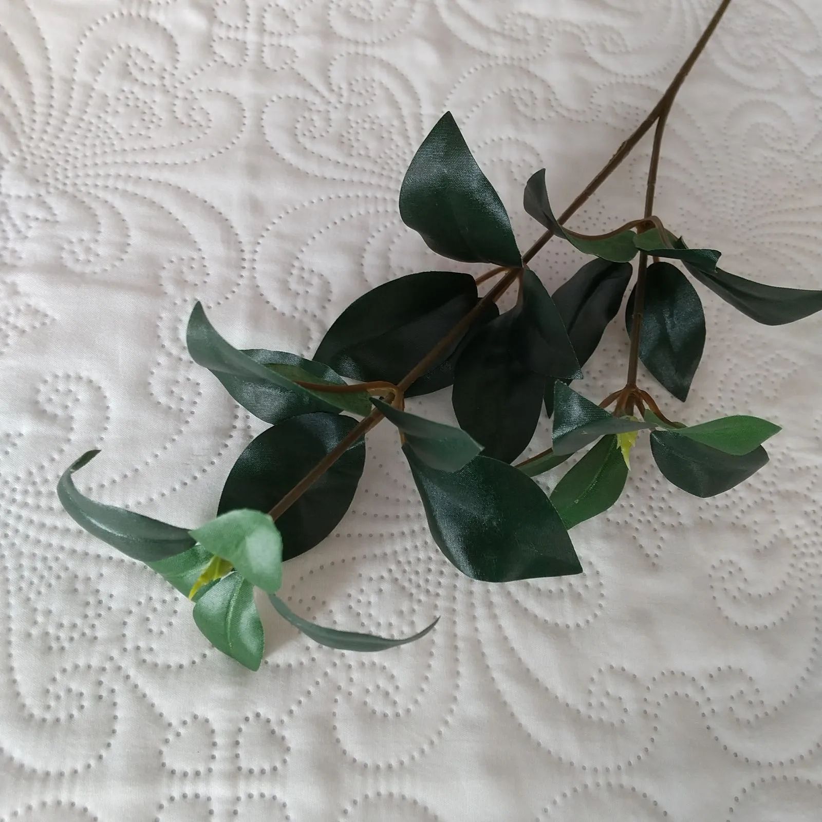 ALEX様 確認用 しきみ6本 - メルカリ