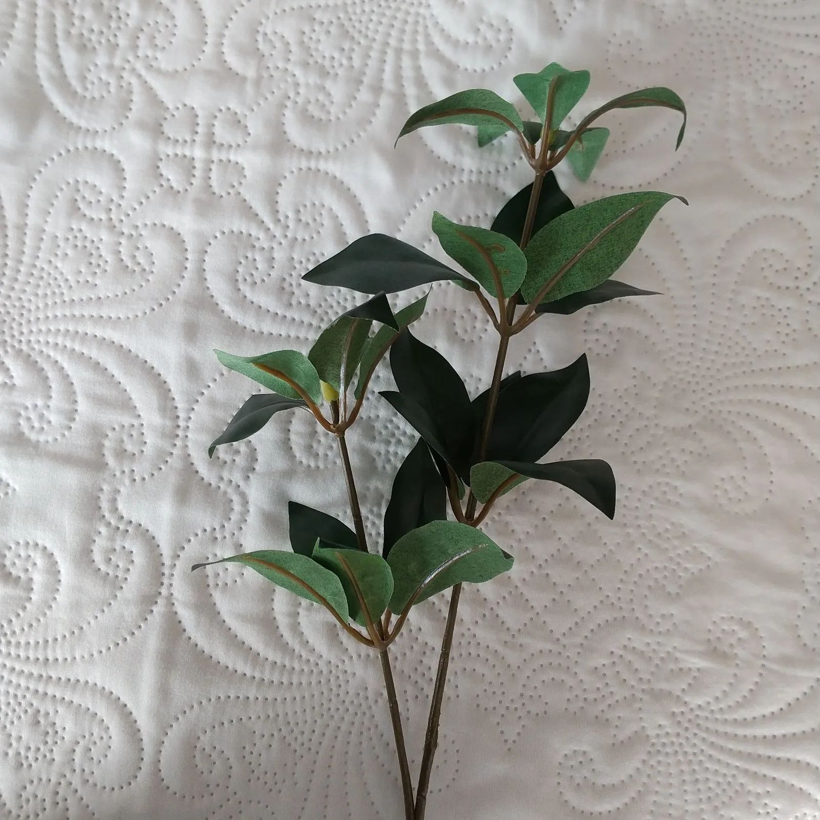 ALEX様 確認用 しきみ6本 - メルカリ