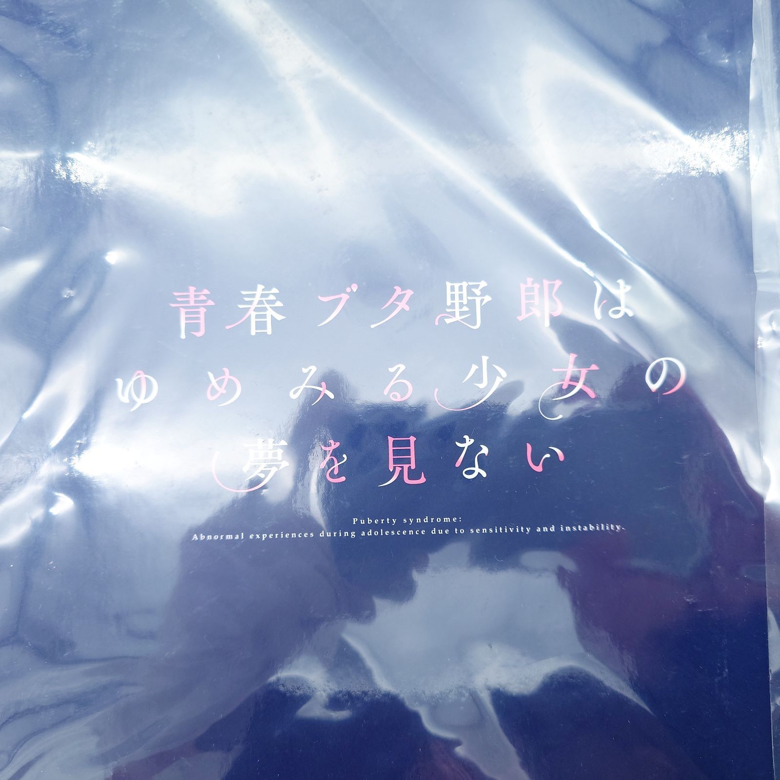 7 青春ブタ野郎はゆめみる少女の夢を見ない 劇場版パンフレット 豪華版 