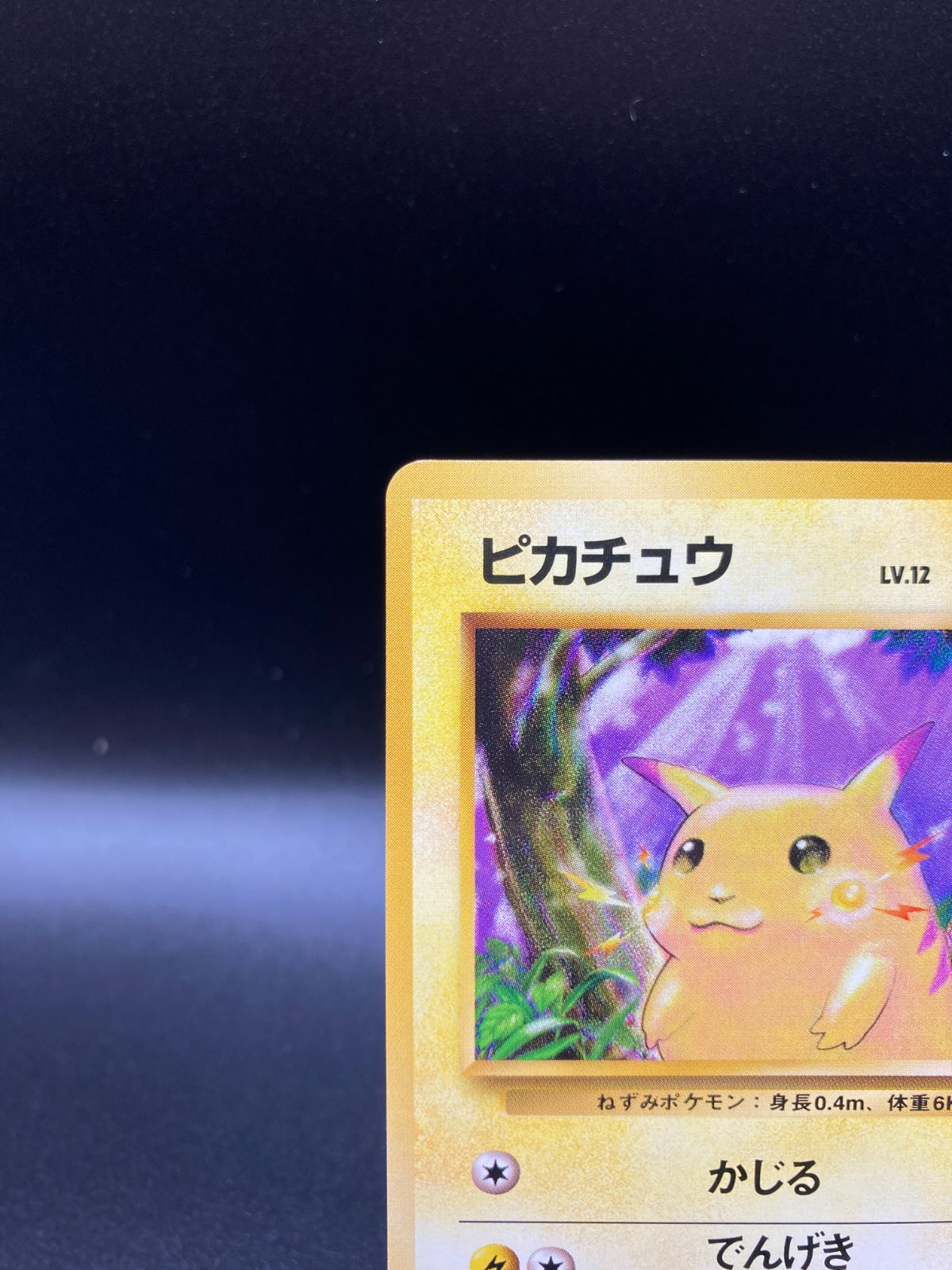 ピカチュウ Pikachu 旧裏 旧裏面 old back ポケモンカード V019 - メルカリ