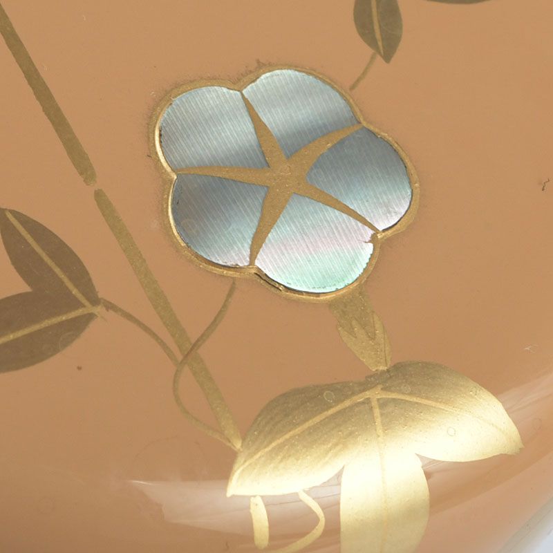 茶道具 中村湖彩作 朝顔蒔絵 螺鈿装飾 中棗 共布共箱 V S662 - メルカリ