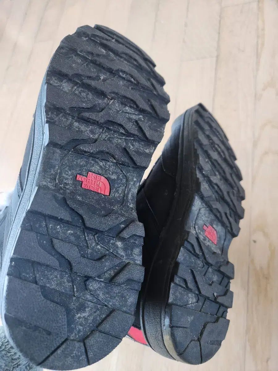 FACE ザノースフェイス