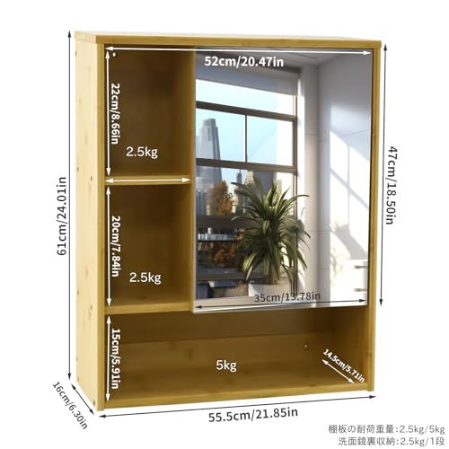 洗面鏡裏収納 可動式