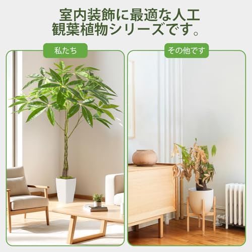 玄関やオフィスにぴったりのインテリア植物飾りです c