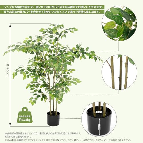 大型 インテリア