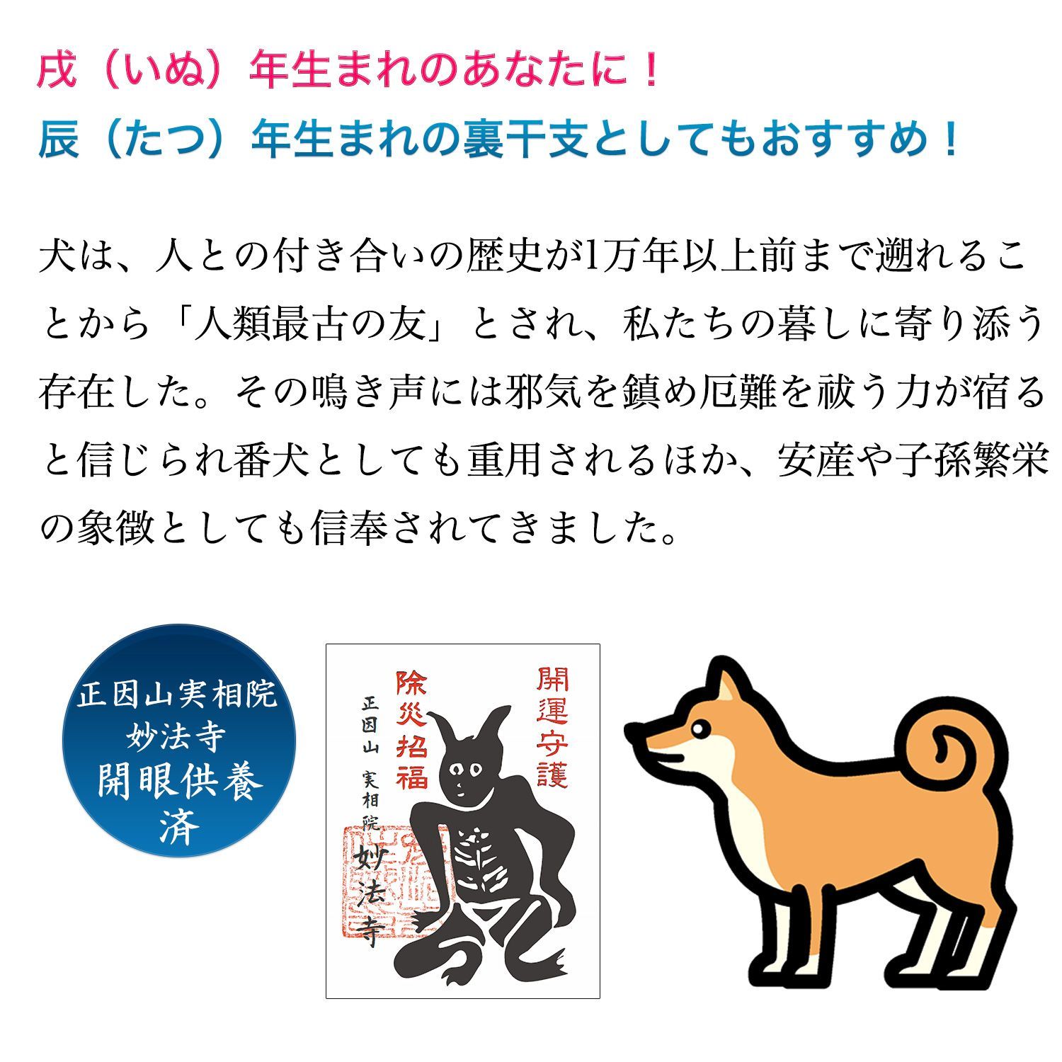 MORITA たまふりや