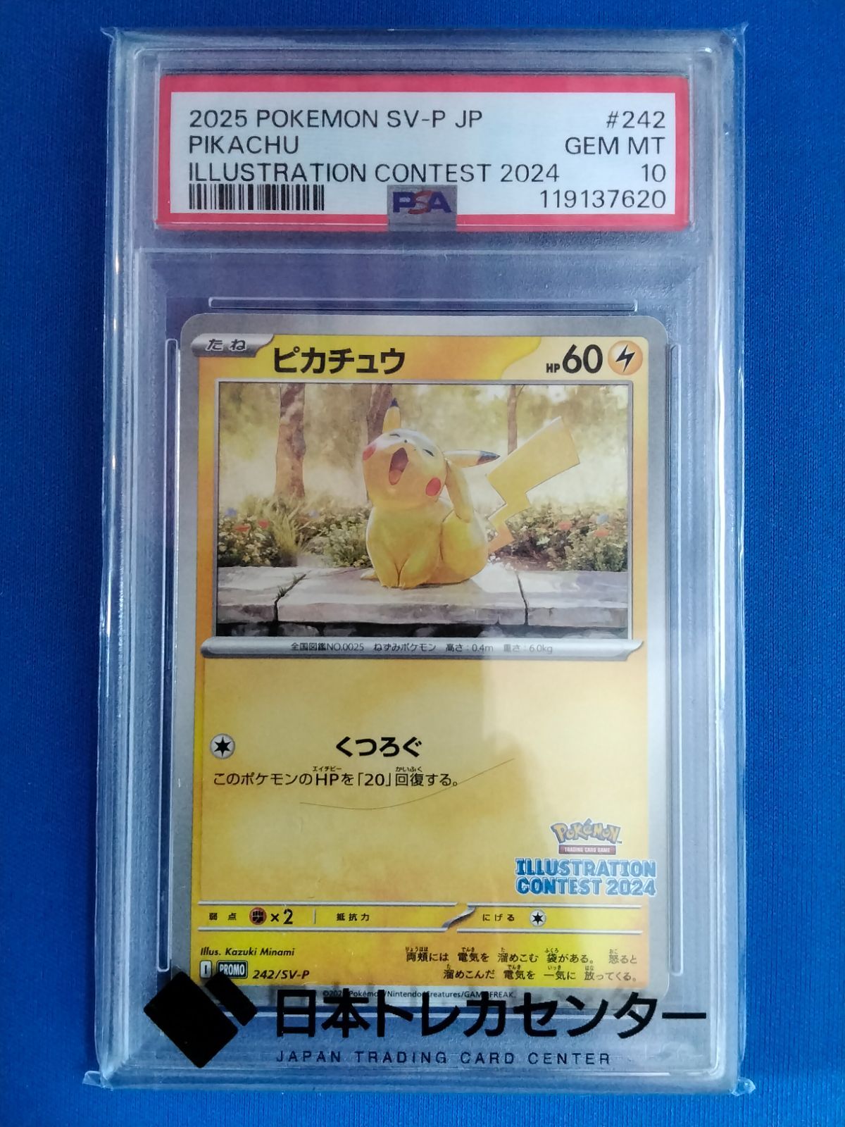PSA10 ポケモンカードゲーム ピカチュウ プロモ 242/SV-P イラコン【併 