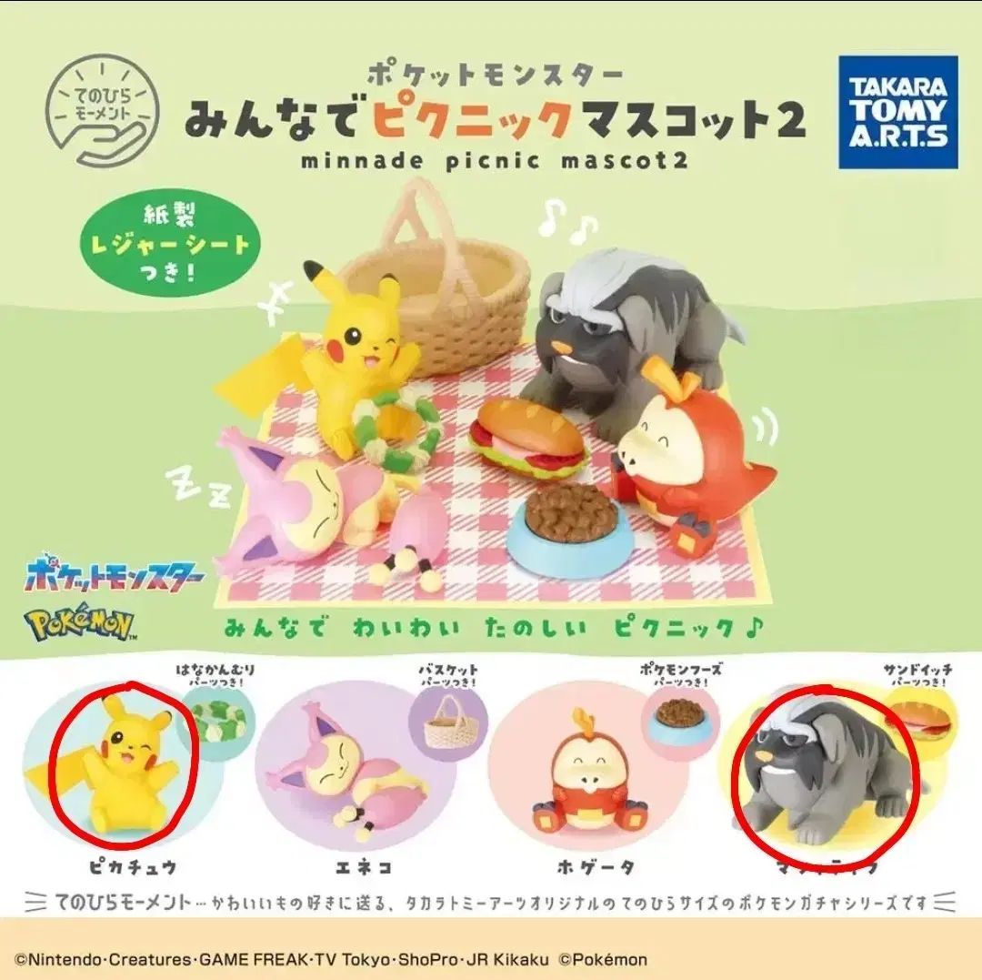 ポケットモンスター まとめ売り) ポケットモンスター ピクニック 