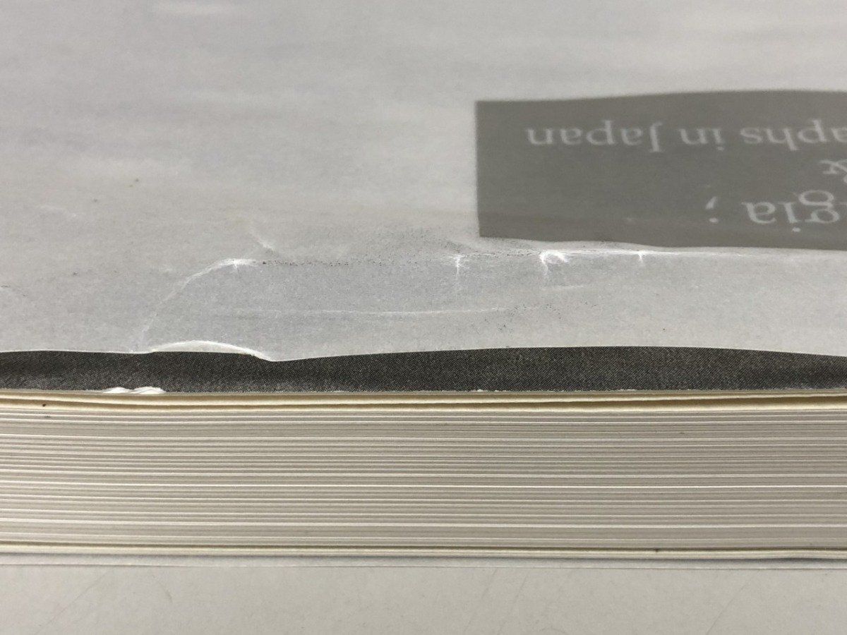 Y]図録 光のノスタルヂア 小関庄太郎と日本の芸術写真 福島県立美術館