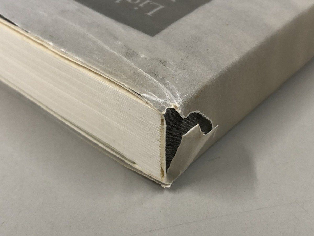 Y]図録 光のノスタルヂア 小関庄太郎と日本の芸術写真 福島県立美術館