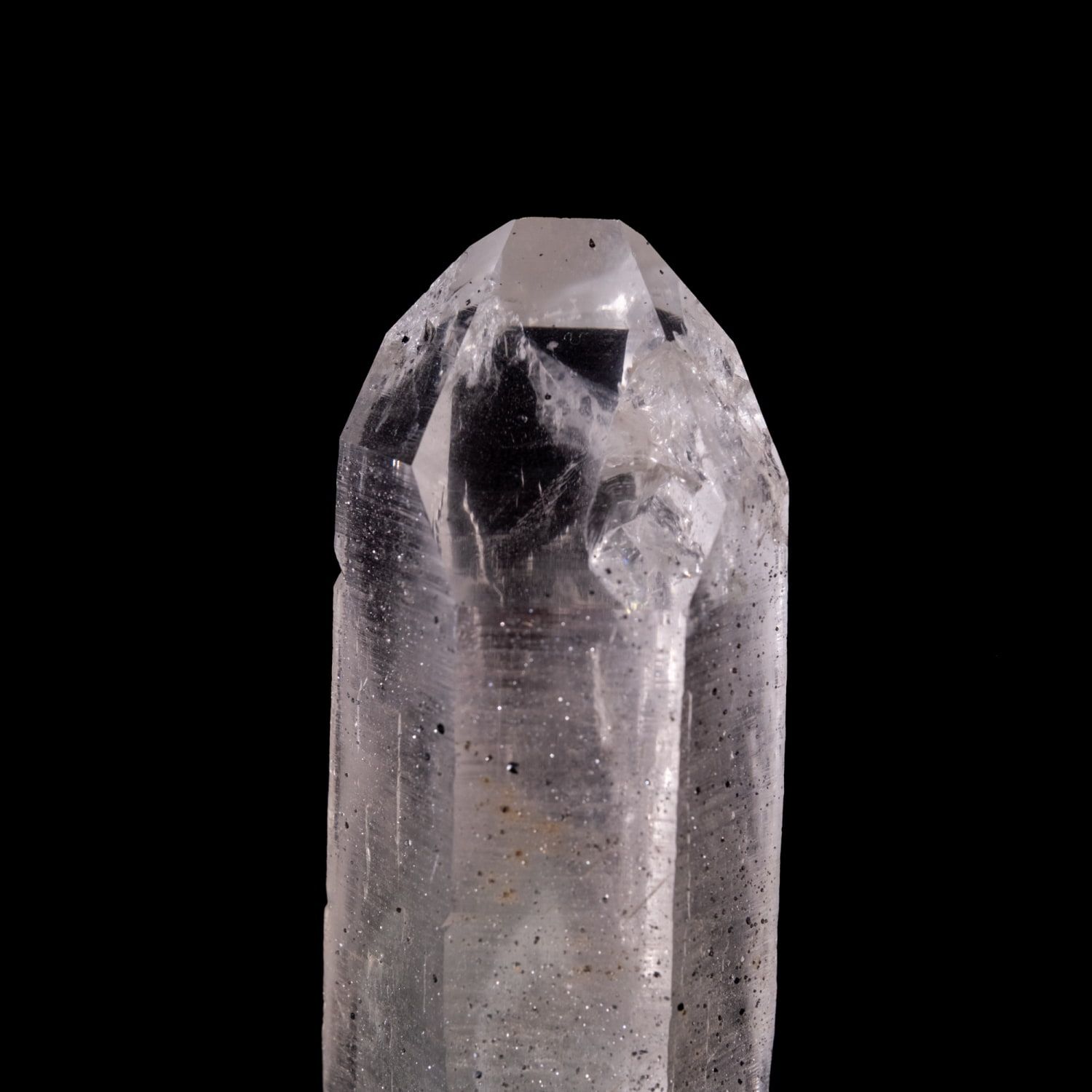 ファントム タビー