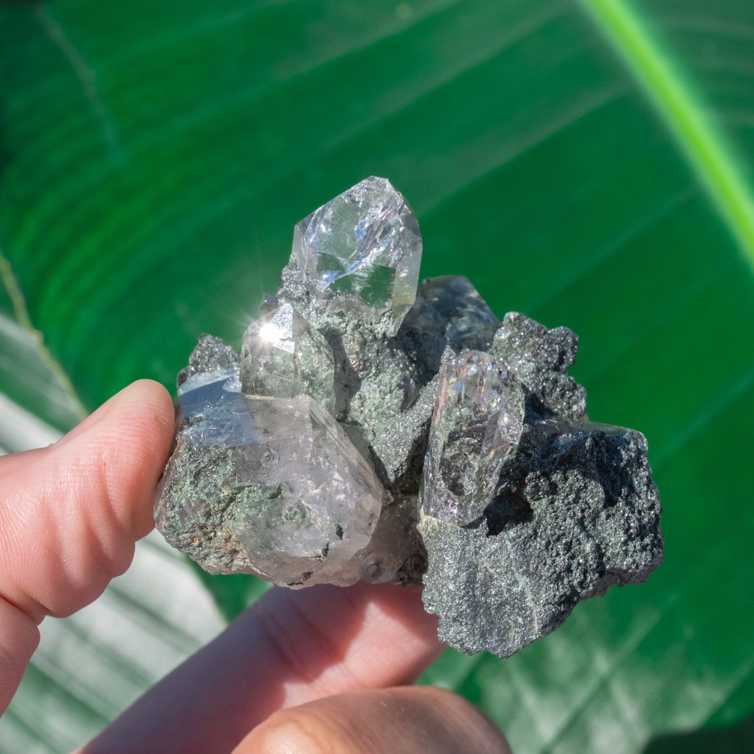 ヒマラヤ水晶原石 84