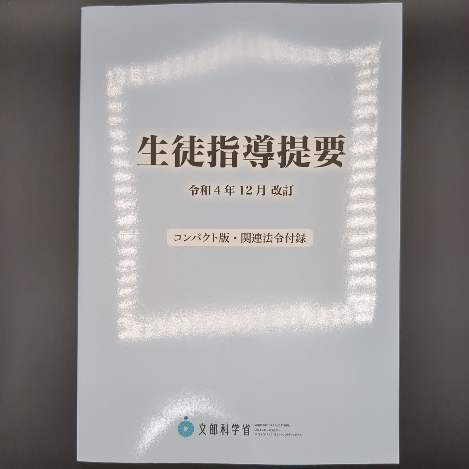生徒指導提要 令和4年12月改訂〈コンパクト版・関連法令付録〉 / 文部