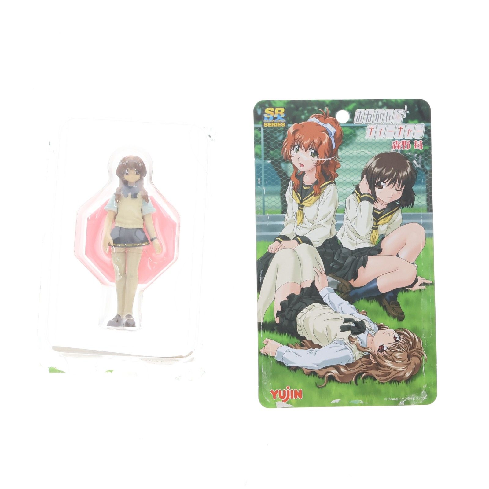 SRDX 森野苺(もりのいちご) おねがい☆ティーチャー 完成品 フィギュア 