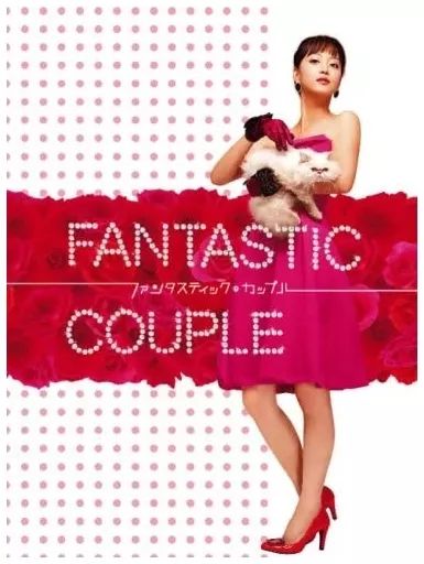 中古】海外TVドラマDVD ファンタスティック・カップル DVD-BOX - メルカリ