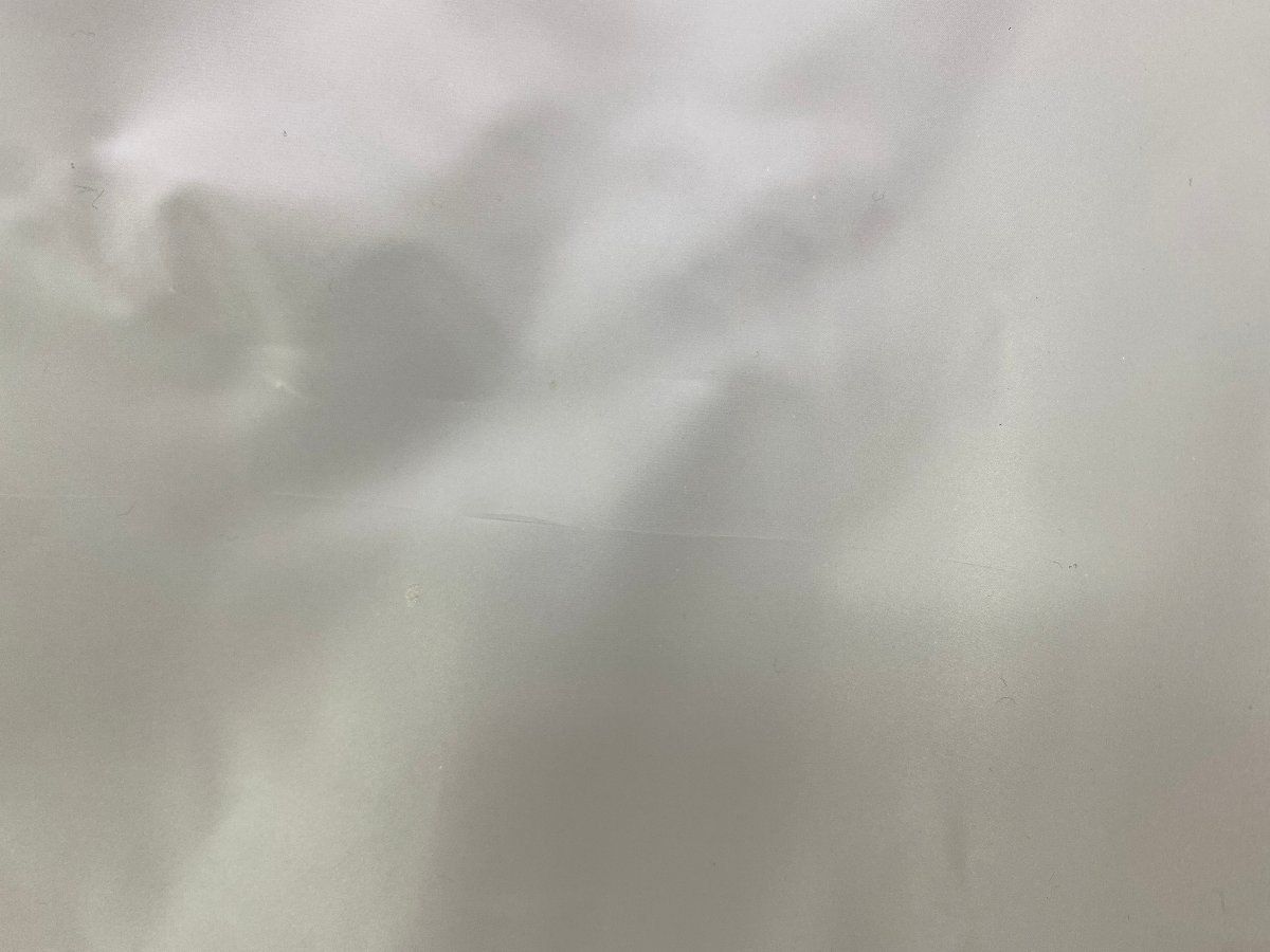 CK Calvin Klein カルバンクライン ロゴプリント PVC クリア