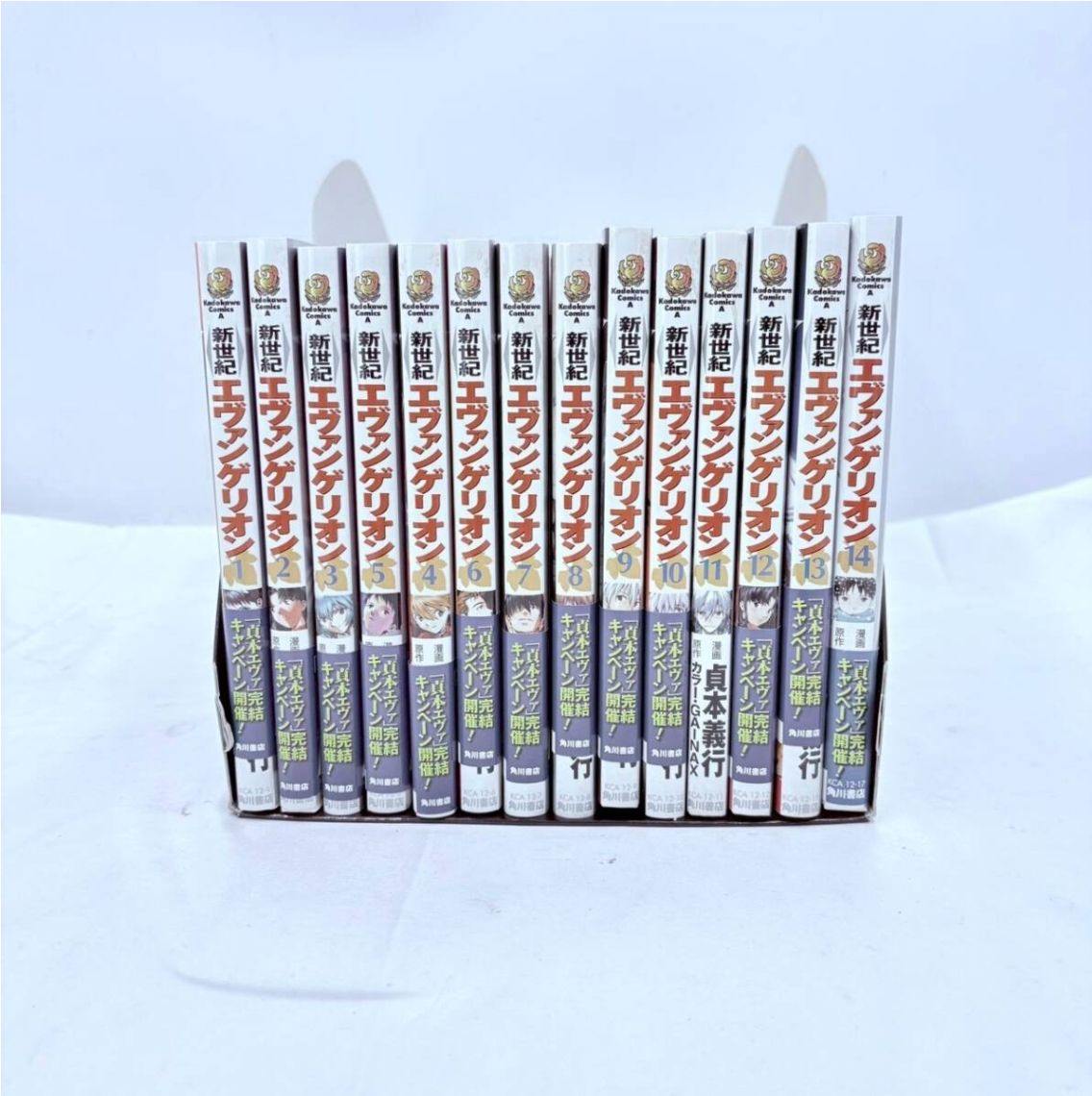 【エヴァンゲリオン】まとめ売り ❗️✨まとめ売り・現状品✨❗️】新世紀エヴァンゲリオン 関連書籍