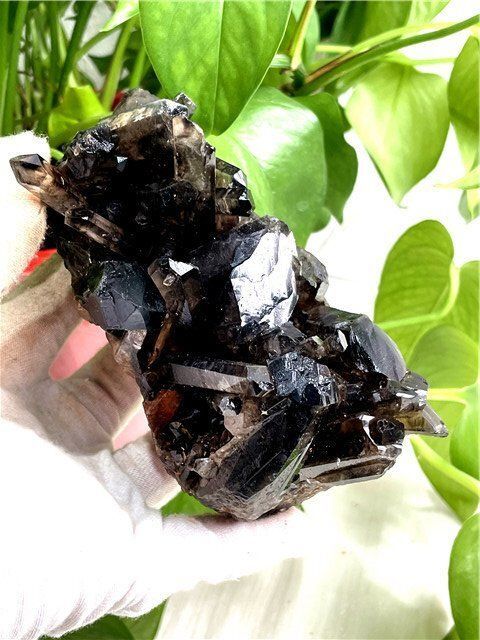 AAA級【魔除け】◇天然モリオン(黒水晶）クラスターYT8C6/146C21C