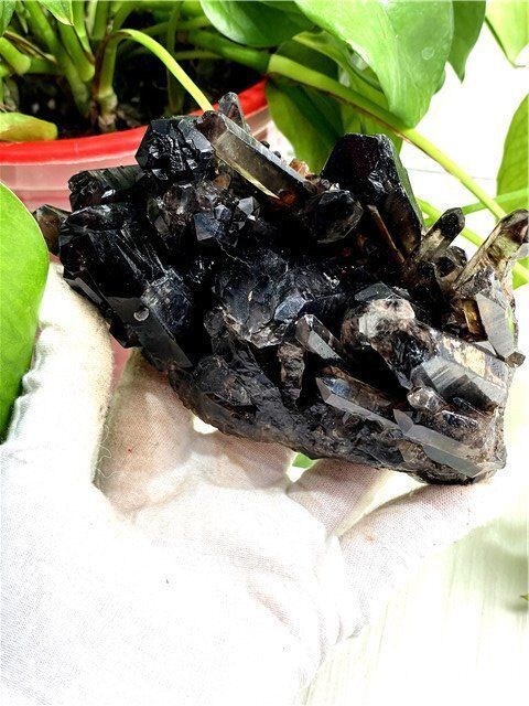 水晶モリオンクラスター 黒水晶 1590G AAAAAAAA級 魔除け 天然モリオン