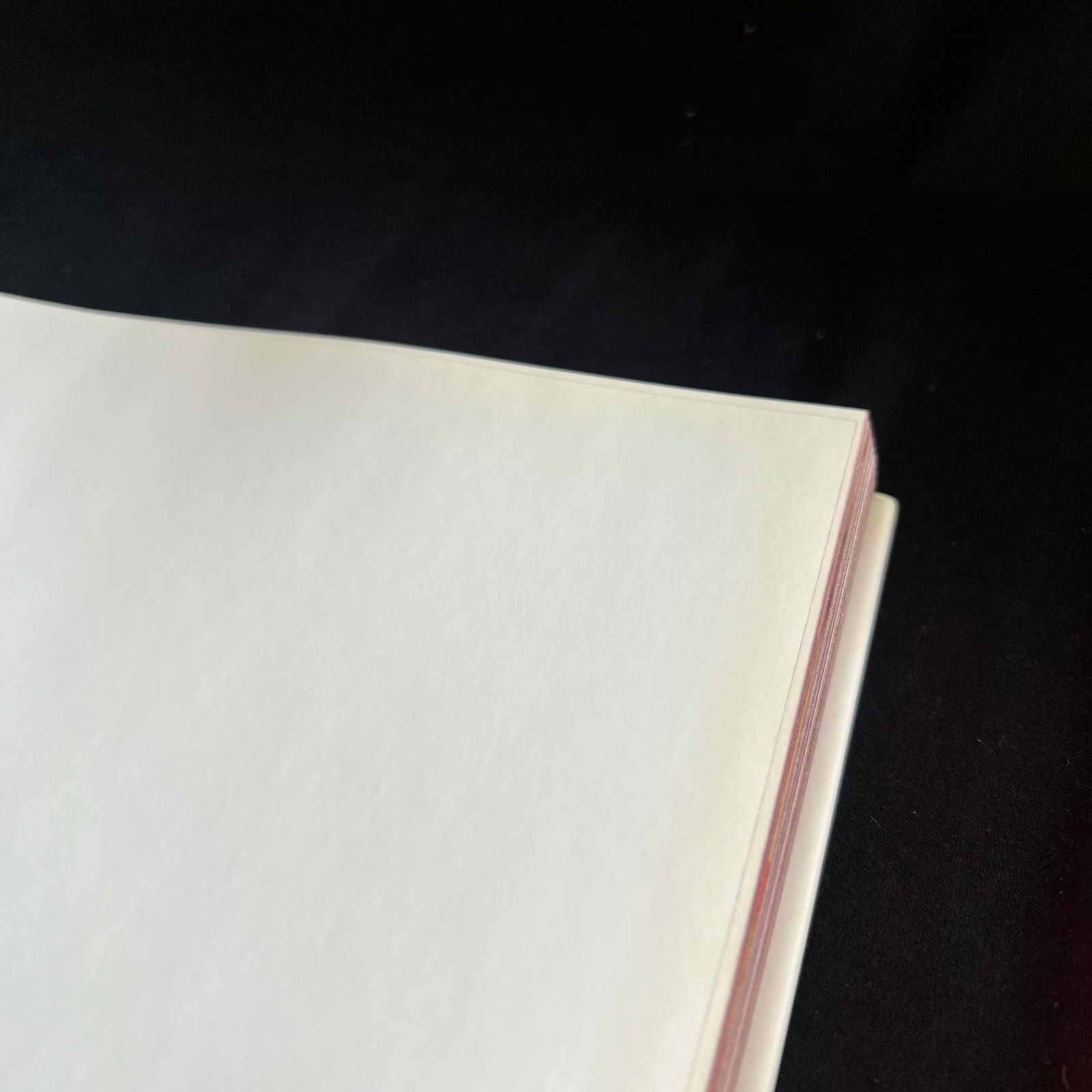 I 【希少】MONICA BELLUCCI モニカ・ベルッチ 写真集 洋書 I2601305