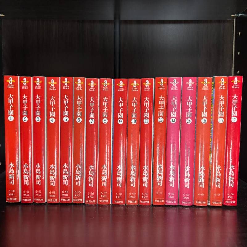 大甲子園　水島新司　文庫版　全17巻　全巻初版セット　秋田文庫 大甲子園（全17巻セット）[文庫版] : マンガ屋アニメ屋 Yahoo!店