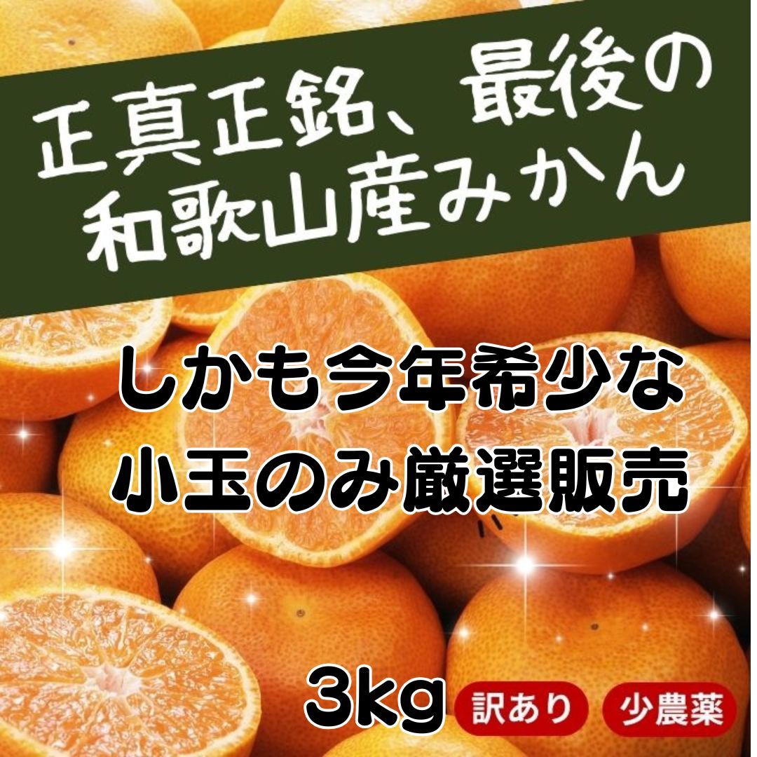 和歌山産 小玉みかん 3kg 減農薬 ワックスなし 送料無料 - メルカリ