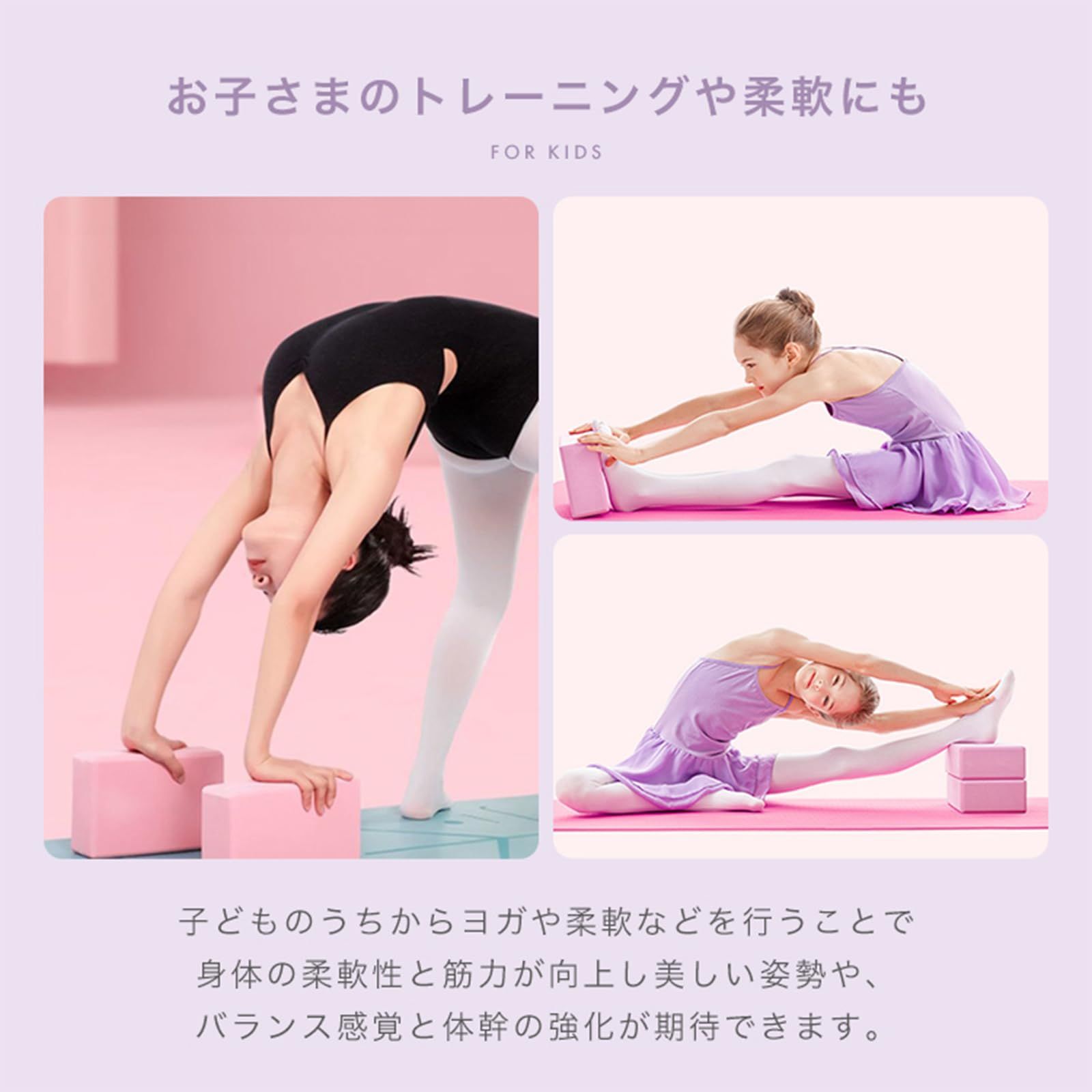 補助 フィットネス ピラティス エクササイズサポート ストレッチ 体幹