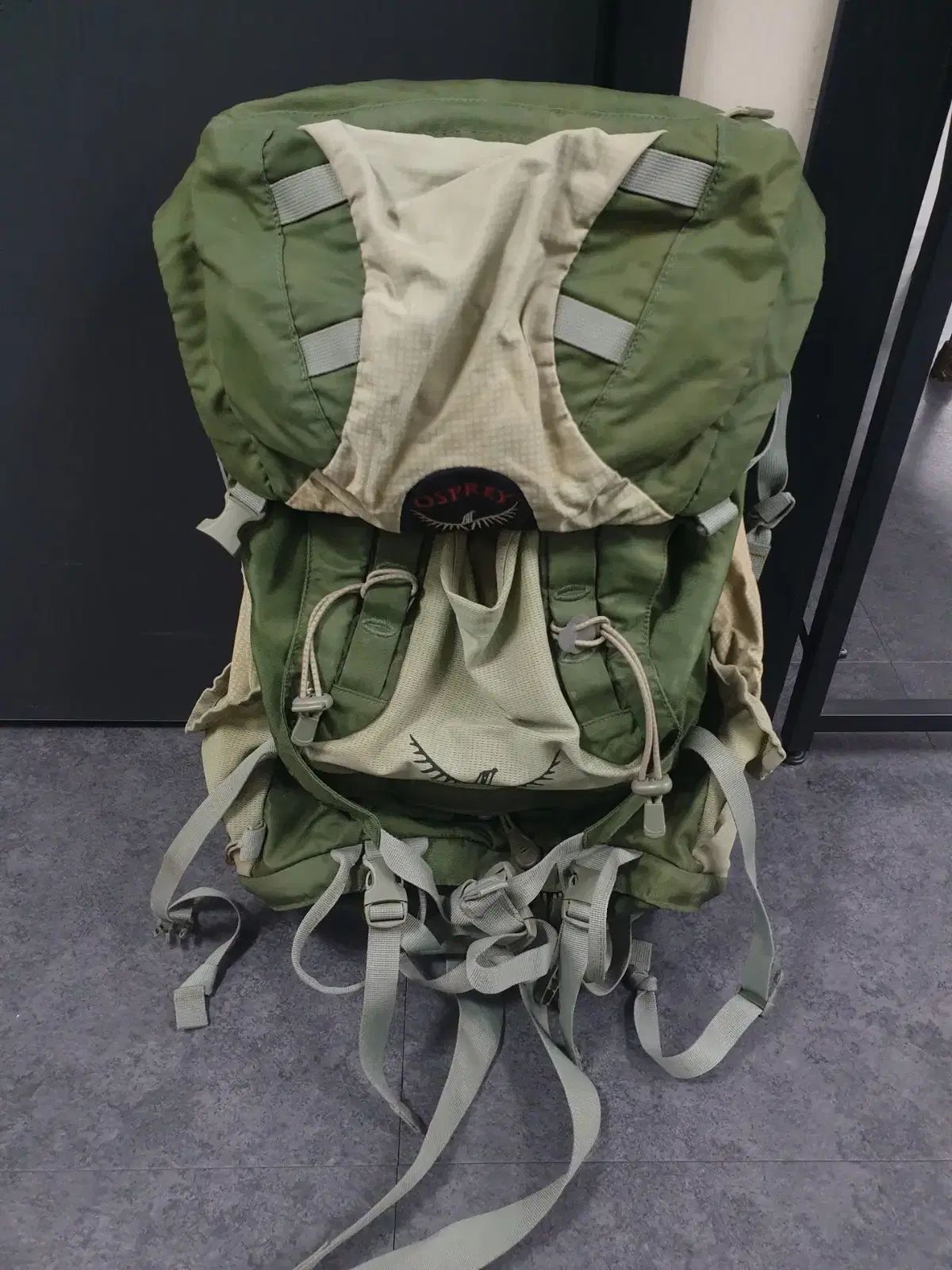 オスプレイ 登山リュック 38 L キャストラル