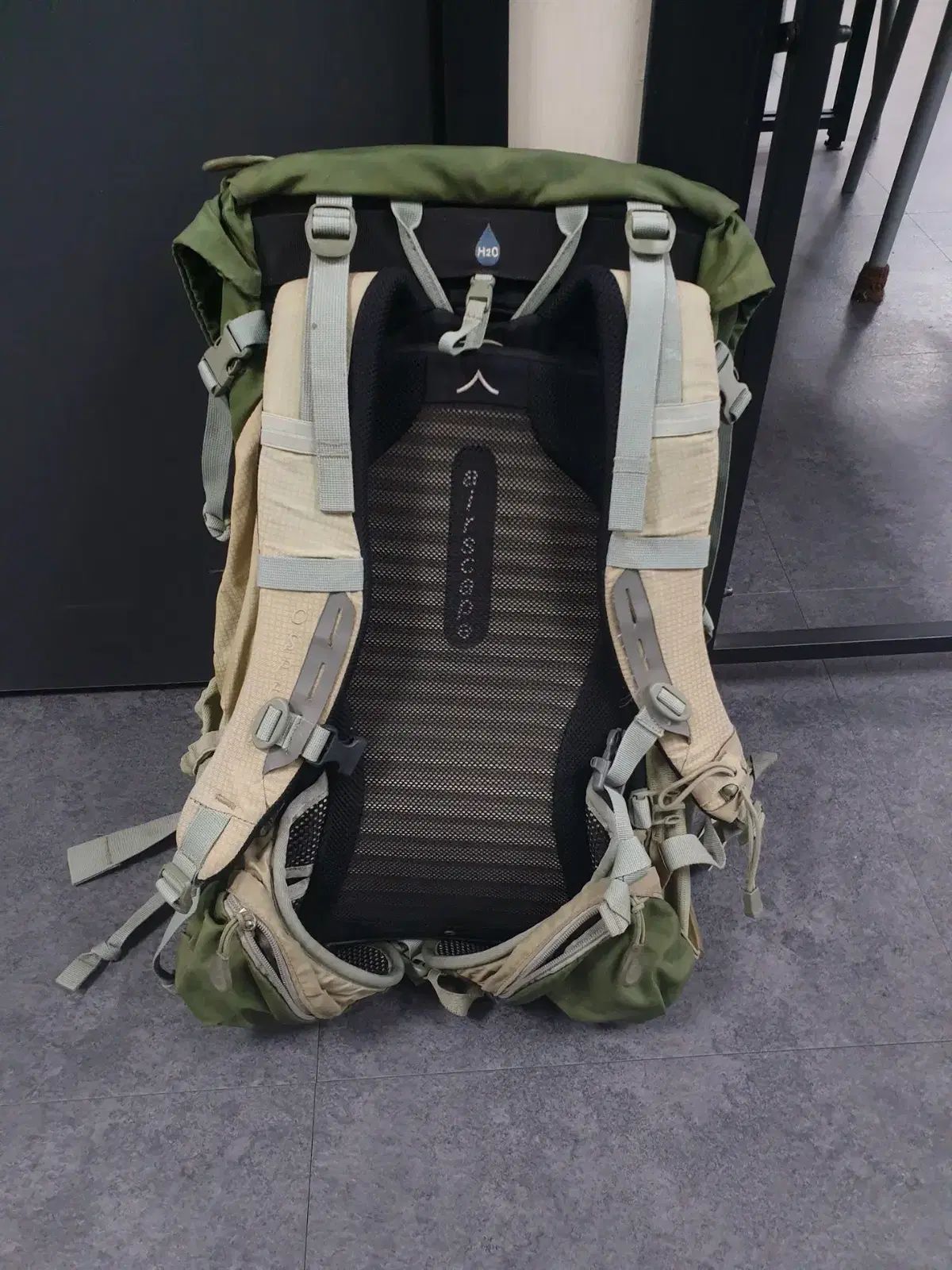オスプレイ 登山リュック 38 L キャストラル