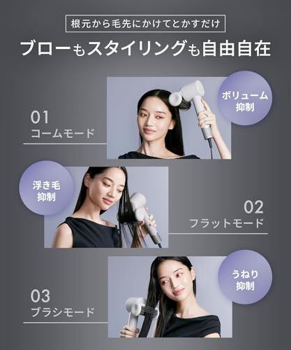  SALONIA サロニア スムースシャインスマートドライヤー グレー ヘアドライヤー 大風量 速乾 マイナスイオン 100 d 216 その他 キッチン 食器