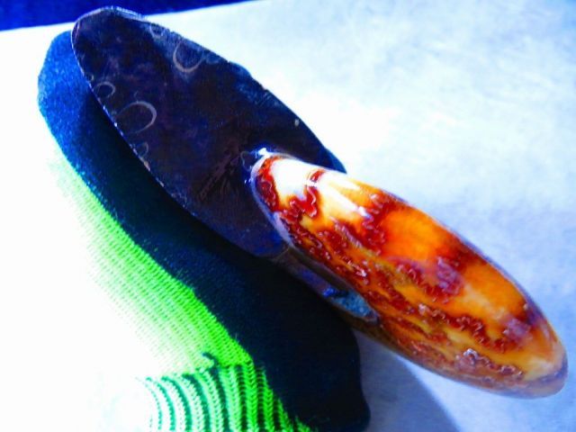 数万個の中の一個☆天然マダガスカル産 ☆ 縫合線オパールアンモナイト