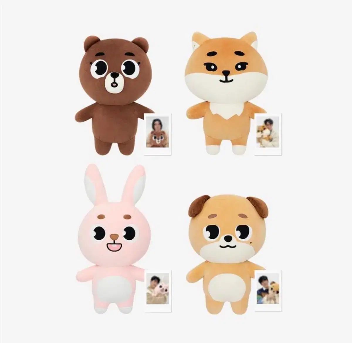 DAY 6 デイシックス ジャイアントケ ジャマルケ