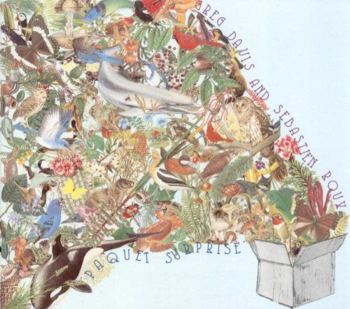 Paquet Surprise Dig 品