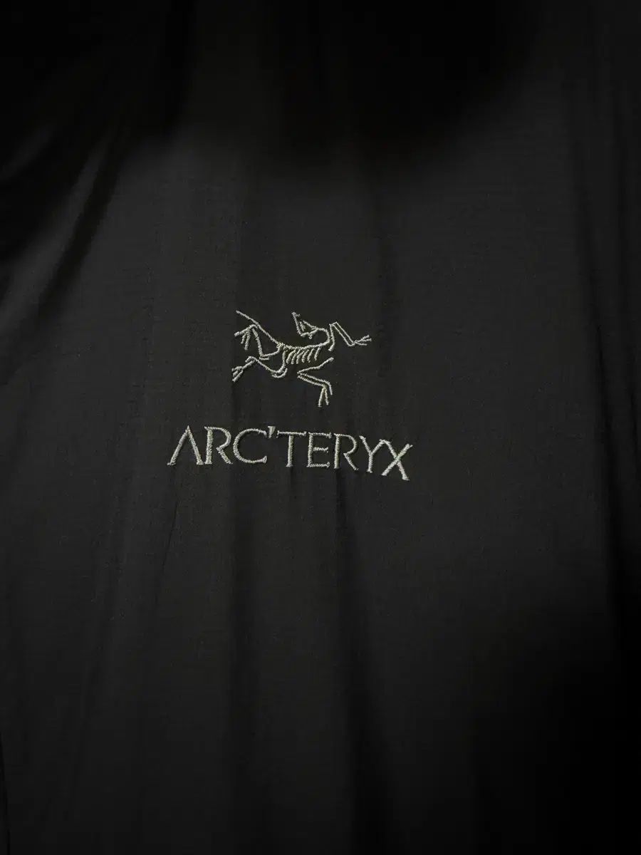 アトム フーディー