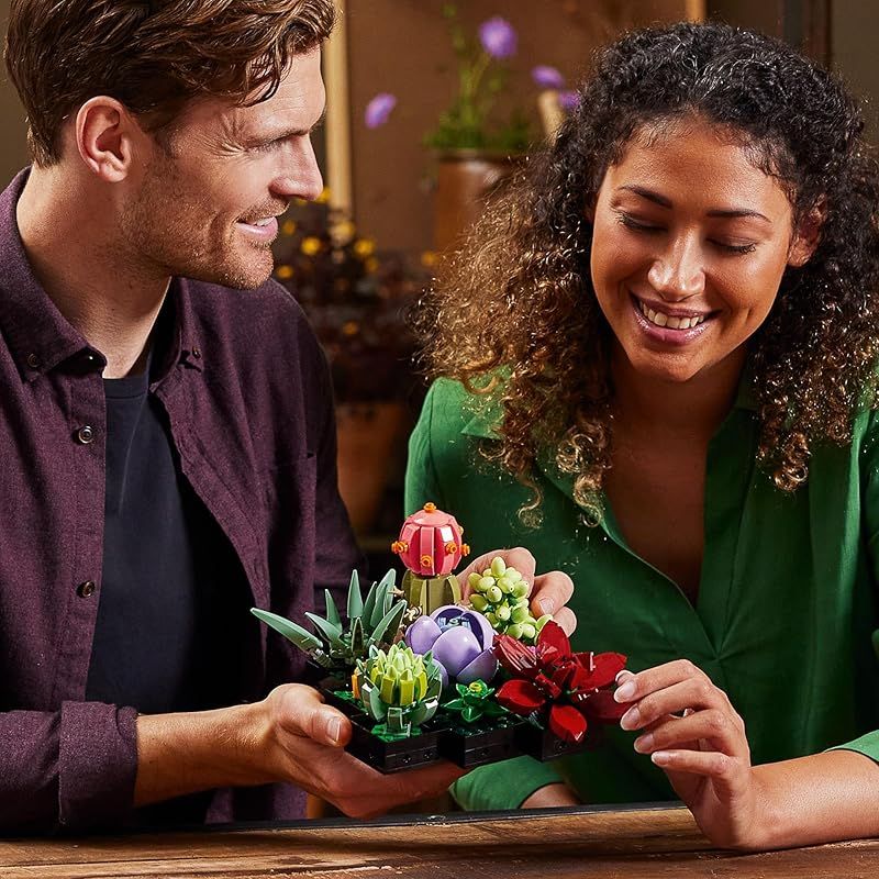 レゴ LEGO ボタニカル 多肉植物 おもちゃ 玩具 プレゼント ブロック 男性 女性 観葉植物 フェイクグリーン インテリア オシャレ 母 父 10309 その他 ぬいぐるみ
