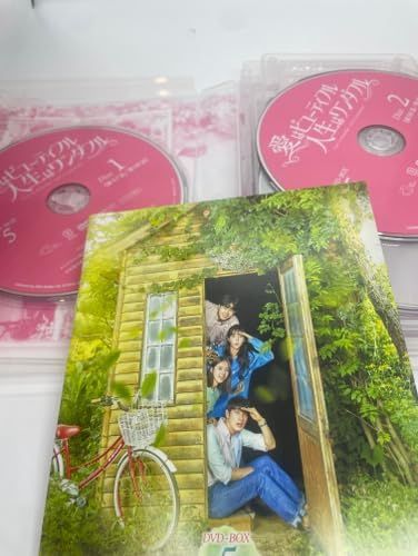 愛はビューティフル 人生はワンダフル DVD-BOX 5 DVD