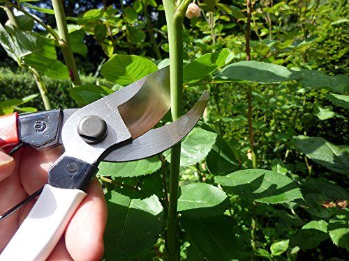 岡恒(Okatsune) 剪定鋏ユニーク 210mm (ブリスター入) No.104p